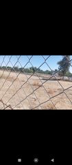 Finca rústica a Avenida de la Quinta 17