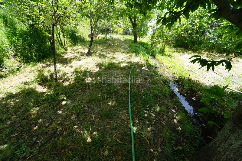 Foto 05901b19-e49e-44b5-a90a-62c4c94d8419. Masia a Taha (La)