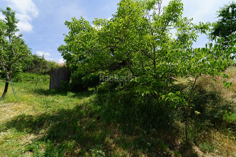 Foto 0c130e0f-be0c-4820-8fd9-d72578a9dd0e. Masia a Taha (La)