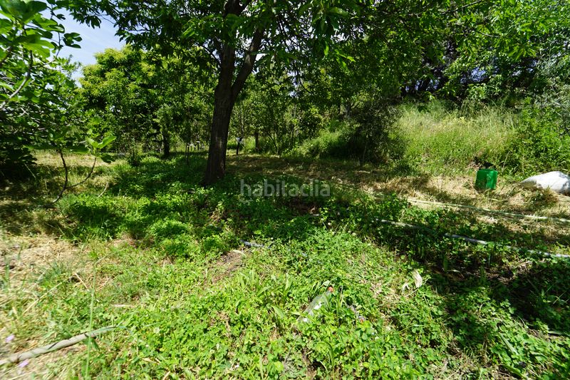Foto 28a8b304-bd92-4f32-bc11-011a99018086. Masia a Taha (La)