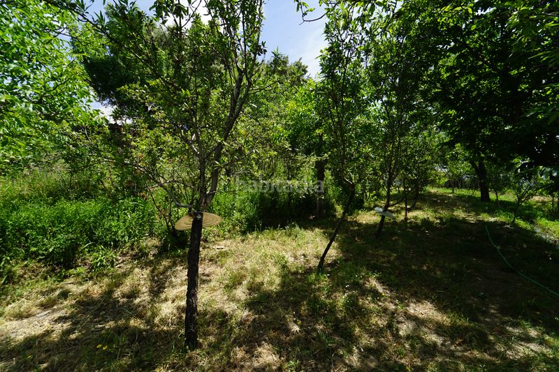 Foto 64bec9bc-6d40-4ba5-990d-679436702bbd. Masia a Taha (La)