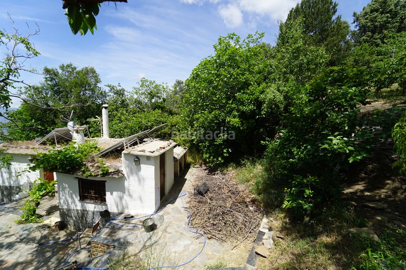 Foto 6b0863fc-54a8-4aca-a19f-9e9f633a754d. Masia a Taha (La)
