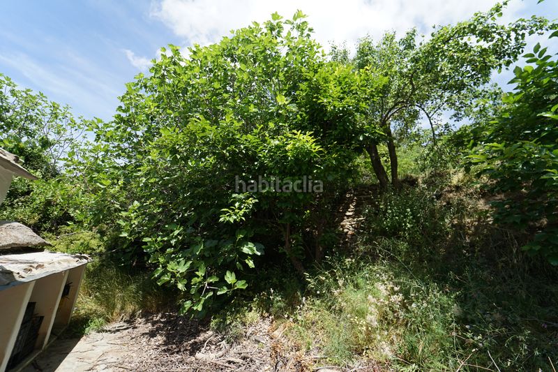 Foto 834e098a-463a-45ee-a943-4b7f7da379ee. Masia a Taha (La)