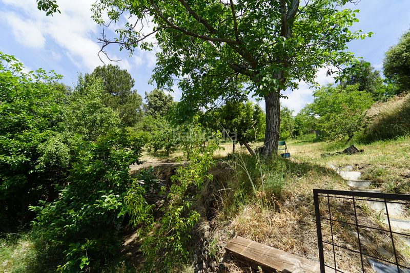 Foto 8b0ab696-8947-4eec-9ec8-b88546f52714. Masia a Taha (La)