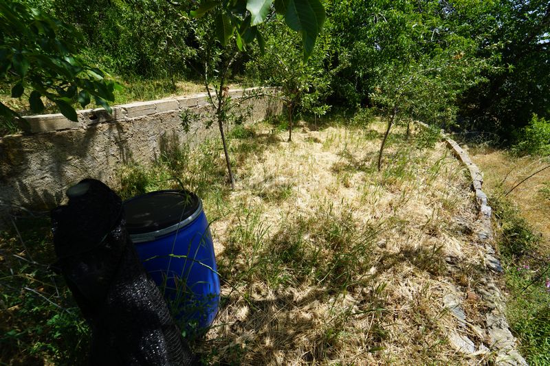 Foto ed7f0707-43c2-4e97-acdd-d8acc590880f. Masia a Taha (La)