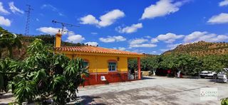 Chalet à Benamocarra