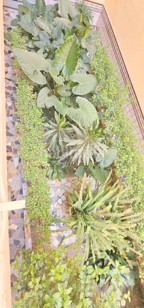 Foto a088c875-3203-4eae-b344-e8f851e3f3c0. Pis a Paseo Marítimo de Levante Torre del Mar