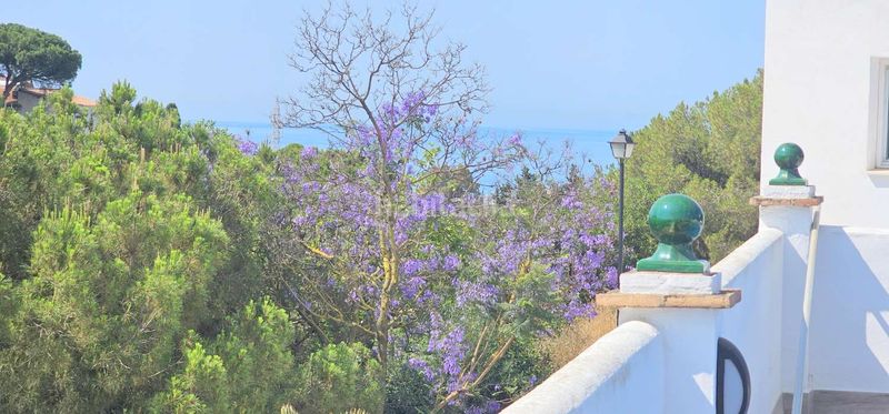 Foto 97a76c42-7a17-4c35-8c97-5b1440825876. Lloguer planta baixa amb piscina a Caleta de Velez