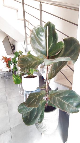 Foto f6697cb7-3181-4738-8e06-ef67c1d920a5. Dúplex amb calefacció aparcament a Poble Nou Manresa