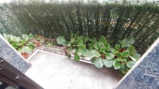 Casa aparellada a Sant Vicenç de Castellet. No la puedes dejar escapar!!!