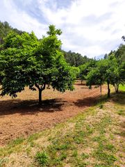 Xalet a Castellfollit del Boix. Una casa increible!!!