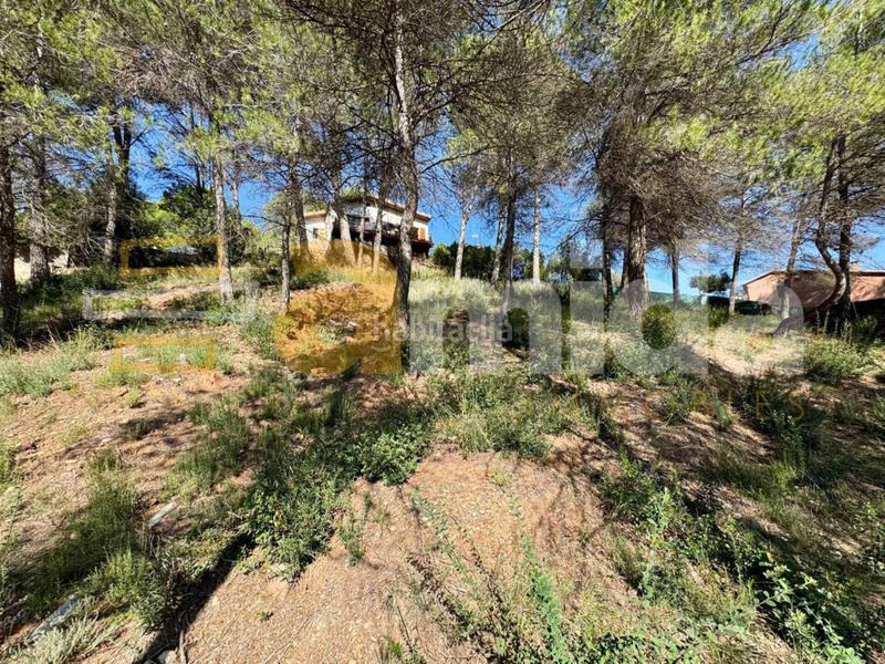 Foto 6795ee83-2028-4844-b4f2-69c776aaa271. Solar industrial solar en venta en Rellinars