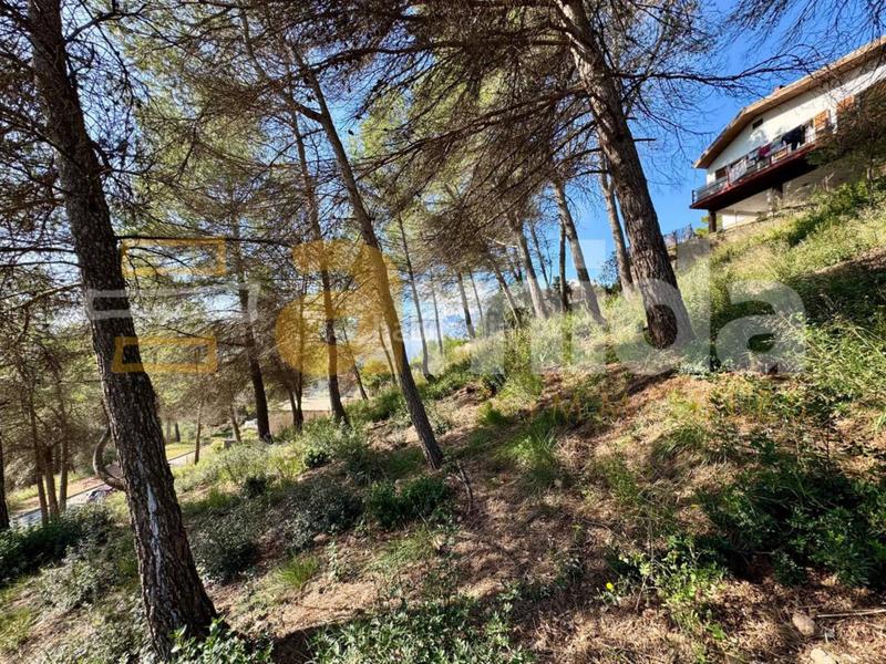 Foto 6a0a5501-02e0-4bfd-9954-b39789846e89. Solar industrial solar en venta en Rellinars