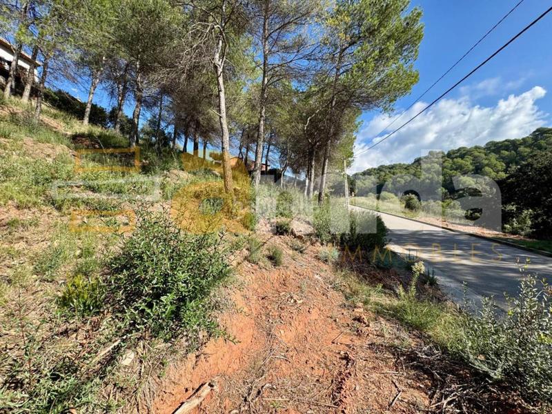 Foto 8080aca5-d15f-4170-8907-d66d1d5a68d6. Solar industrial solar en venta en Rellinars