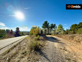 Rent Rural plot in Vinaixa. Finca rustica en alquiler en vinaixa