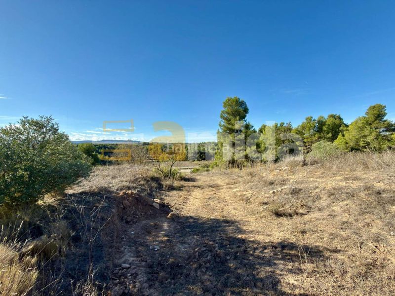 Foto 0769ff74-724e-4e69-a2ce-5f7e3679de76. Finca rústica a Vinaixa