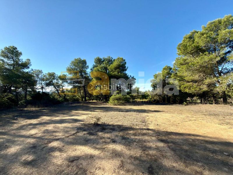 Foto 0d7a4374-cd01-4938-b493-9bc454e4b6e7. Finca rústica a Vinaixa