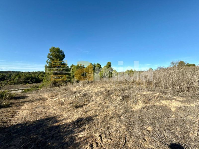 Foto 191e78cc-c683-4c77-aa17-ad24ad276b9a. Finca rústica a Vinaixa