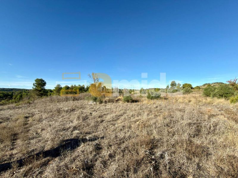 Foto 1e7f37a1-38ec-40d0-ad50-92ac4fa4dea8. Finca rústica a Vinaixa