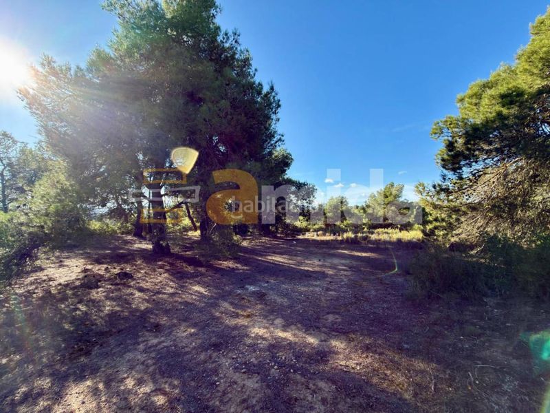 Foto 39dc1aab-28e2-4512-beb1-76c05a4d5471. Finca rústica a Vinaixa
