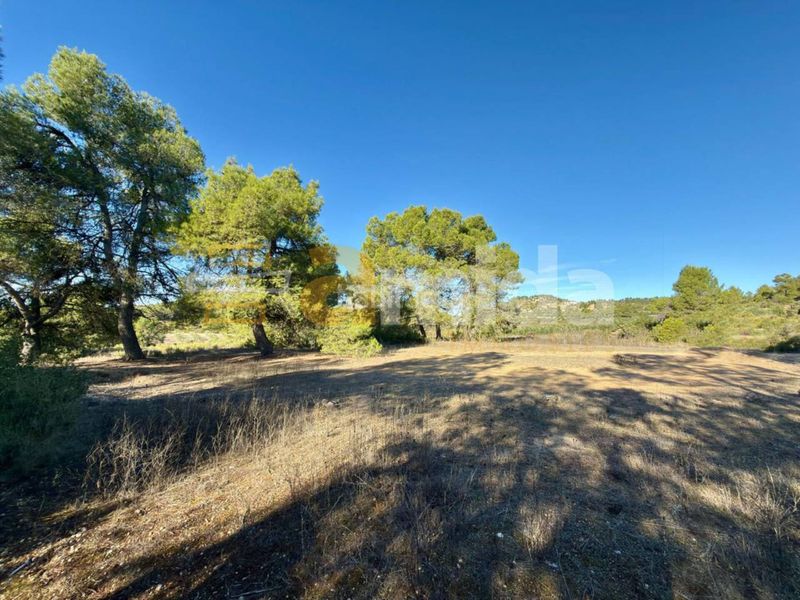 Foto 4bd39923-b099-4fa3-b7f3-02e28a03045b. Finca rústica a Vinaixa
