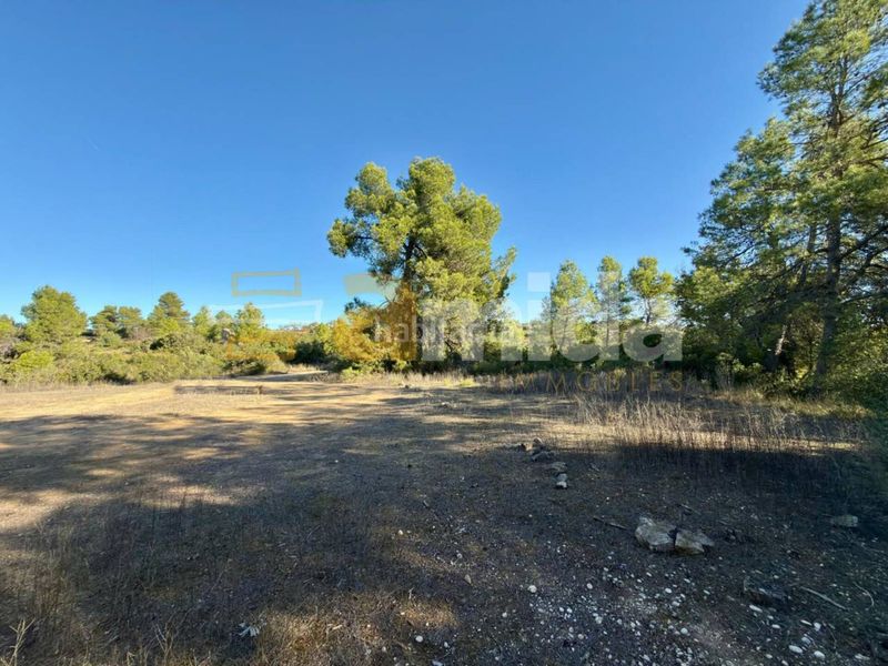 Foto 4c9f401f-10fe-4854-990d-baf23ea416cd. Finca rústica a Vinaixa