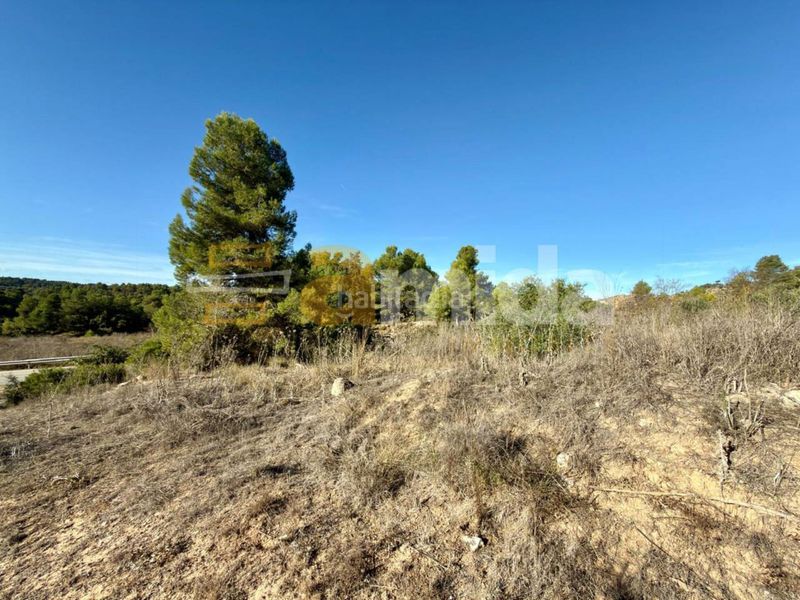 Foto a3bf80be-d155-4c7a-b71d-6fe0834e70cb. Finca rústica a Vinaixa