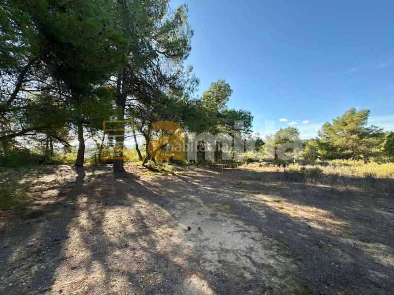 Foto a846d4c1-6584-4451-a138-ae24ac27a58a. Finca rústica a Vinaixa