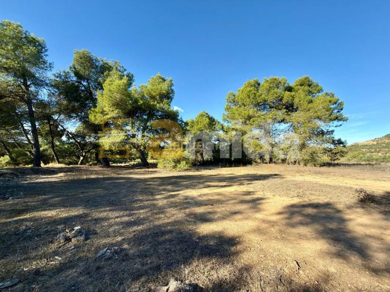 Foto c0a15682-707a-4291-8f70-21b1c70d8cc7. Finca rústica a Vinaixa