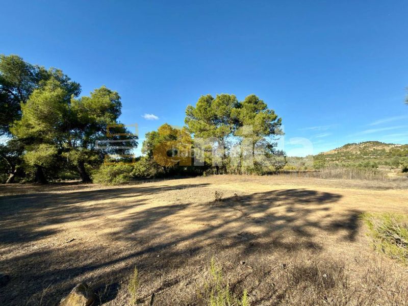 Foto c19739a8-4b3a-48ff-95dc-955efd0d3323. Finca rústica a Vinaixa
