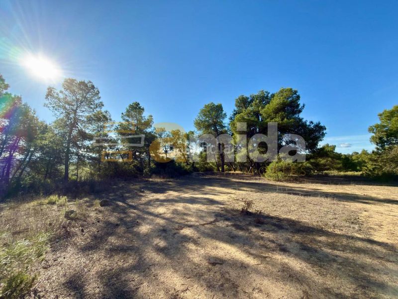Foto ca11162f-2382-4182-9e35-144d4e93bb5b. Finca rústica a Vinaixa