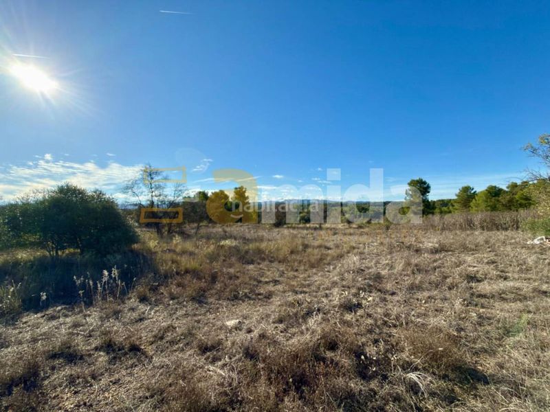 Foto ca7c1360-b276-419a-af3b-872e2d1fda7b. Finca rústica a Vinaixa