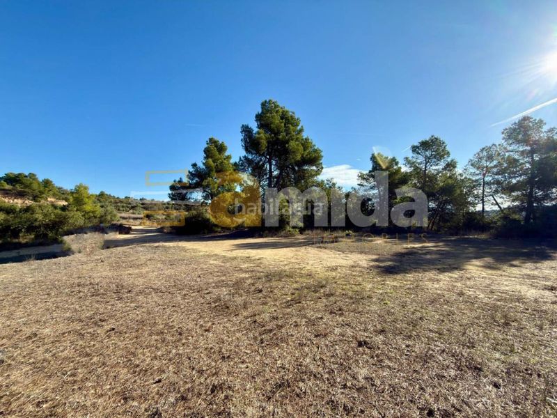 Foto d17b4f99-8395-4f93-8ff3-526d1e371900. Finca rústica a Vinaixa