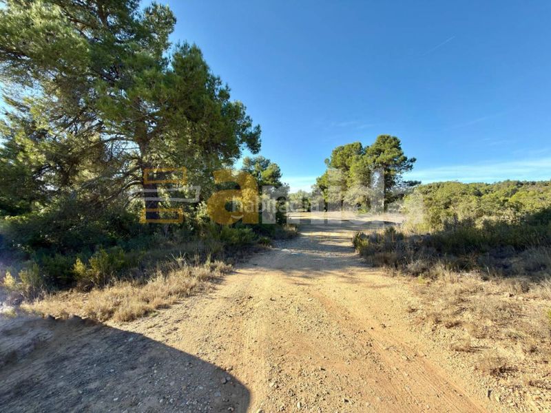 Foto ebb4965f-a1f8-405c-b2ee-75864568ee66. Finca rústica a Vinaixa