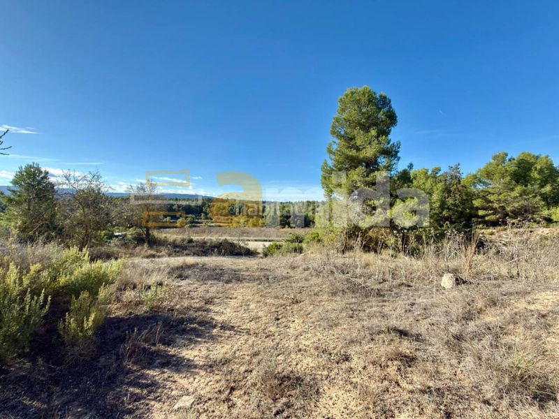 Foto f583f50f-e3d1-4fcb-8a06-695e09c84f7e. Finca rústica a Vinaixa