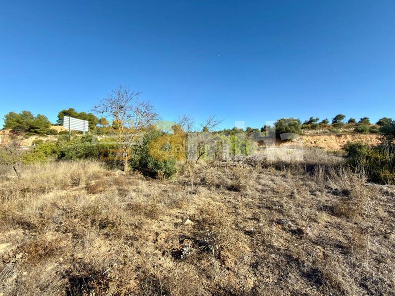 Foto f9f87a4e-8692-4481-ac41-8b20e93f0346. Finca rústica a Vinaixa