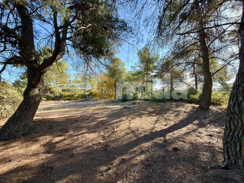 Foto ff963fa3-6bdc-4c09-95a1-92a314884a43. Finca rústica a Vinaixa