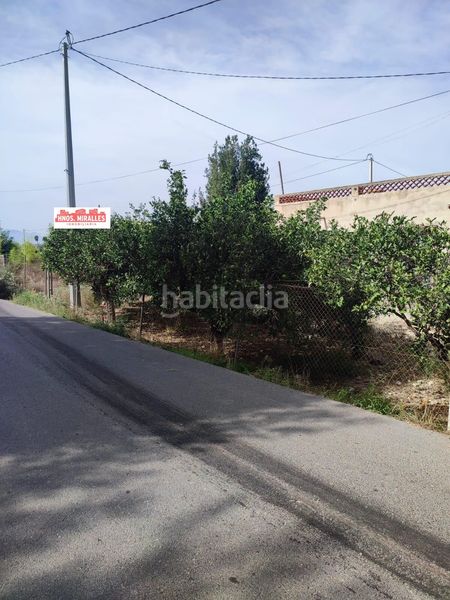 Foto 722ea07d-d867-4a0b-b85f-249934113f53. Finca rústica a Dolores