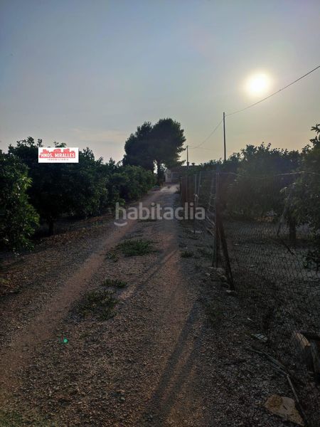 Foto e4b503d6-5da5-490a-9dc2-13248ae0b415. Finca rústica a Dolores
