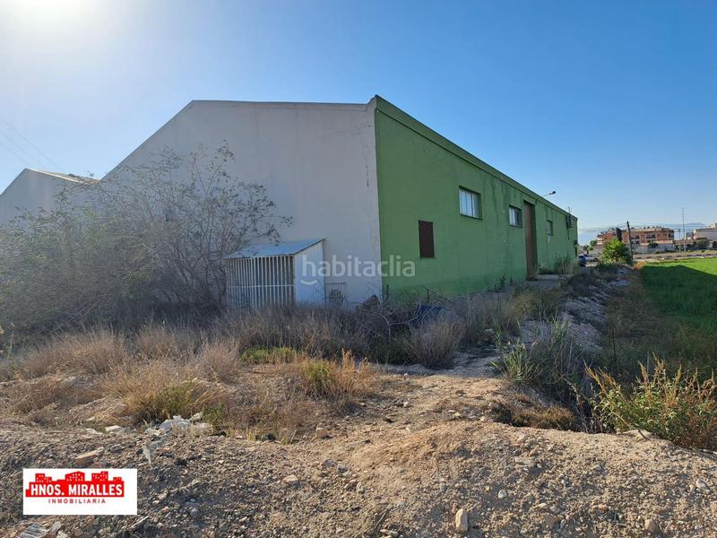 Foto 6ea531f6-b088-41b8-9bcc-9d19300079a7. Alquiler nave industrial se alquila nave de 2500m en ctra. dolores en Almoradí