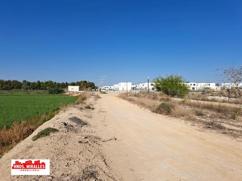 Foto 61931473-75c8-409c-9d44-51376b1dac8d. Location bâtiment à usage industriel dans Almoradí