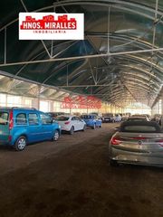 Lloguer Local Comercial a Torrellano. Se alquila nave tipo invernadero ideal para parking