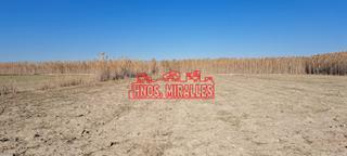 Finca rústica a La Marina. Vendo finca en los carrizales con agua de riego gratuita