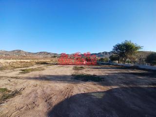 Terreny residencial a Pedanías Este. Magnífica parcela en aspe, 12.000 m2 !!