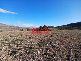 Wohngrundstück in Hondón de los Frailes. Preciosa parcela de 20.300 m2 en hondón frailes !!