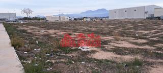 Terreny residencial a El Castillo. Solar en poligono, para terciario e industrial en  aspe