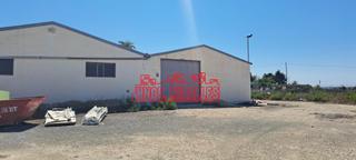 Rent Industrial building in La Algoda - Matola - Llano de San José. Nave alquile en zona rustica elche