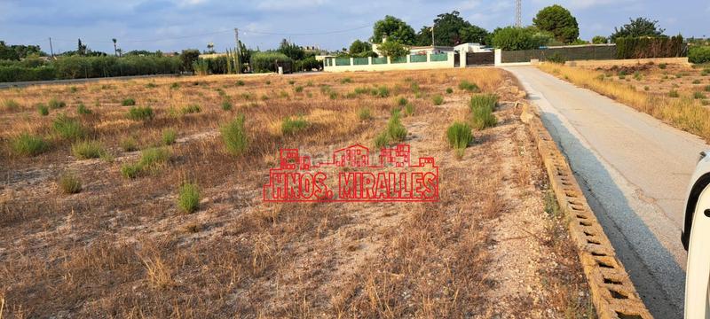 Foto 21bc6cb9-da67-4167-b08a-78676ef50c72. Rural plot in La Algoda - Matola - Llano de San José Elche / Elx