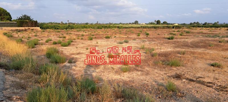 Foto b17a19d2-f264-4648-96c3-8c317a2e1aa7. Rural plot in La Algoda - Matola - Llano de San José Elche / Elx