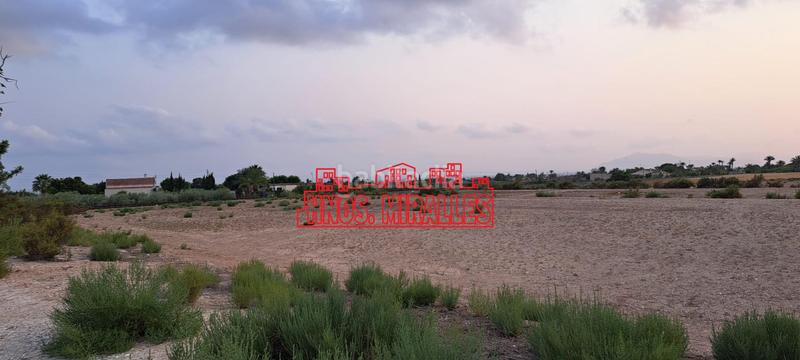 Foto 442ab9d5-bd8d-499e-8977-5ce5c8386e65. Fondo rustico in La Algoda - Matola - Llano de San José Elche / Elx